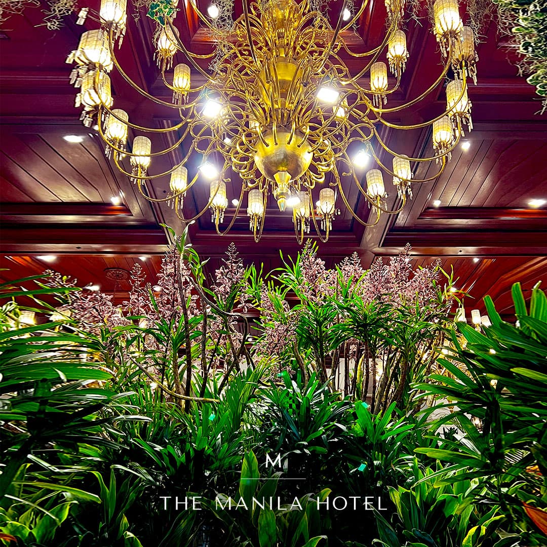 The Manila Hotel - You are safe here in the Grand Dame.